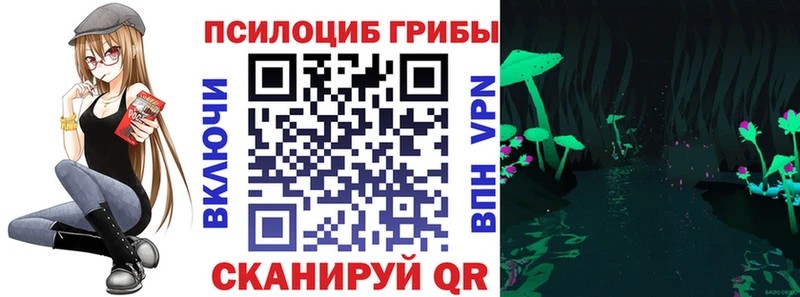Галлюциногенные грибы Psilocybe  где продают наркотики  Костерёво 